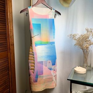 Clover Canyon Neoprene Dress